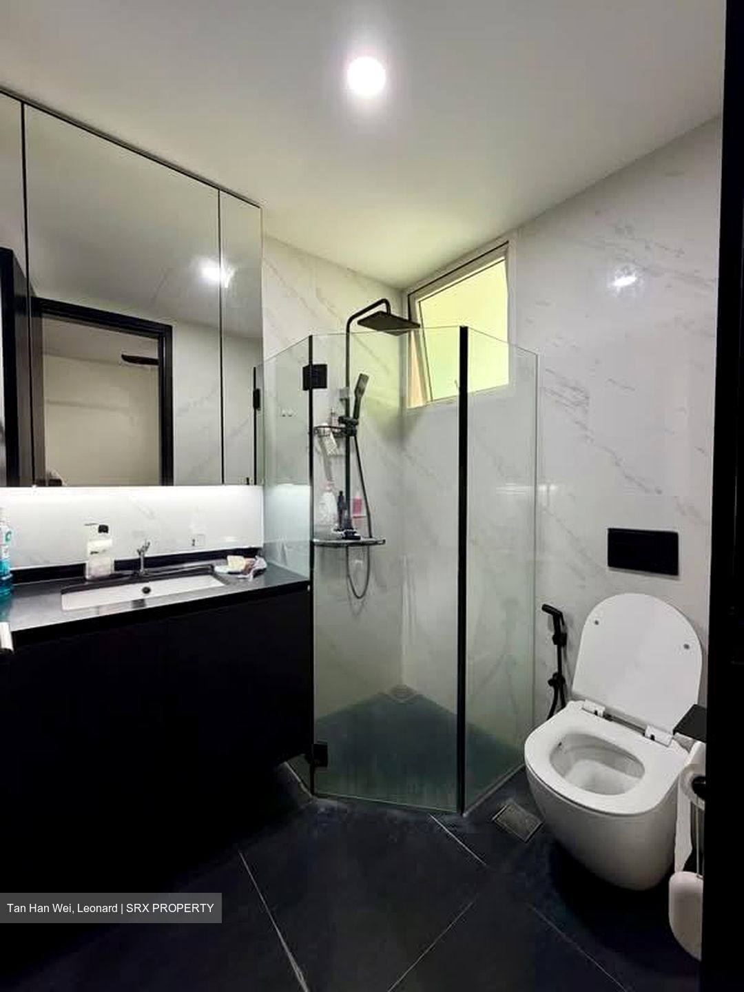 Edelweiss Park Condominium (D17), Condominium #564804261